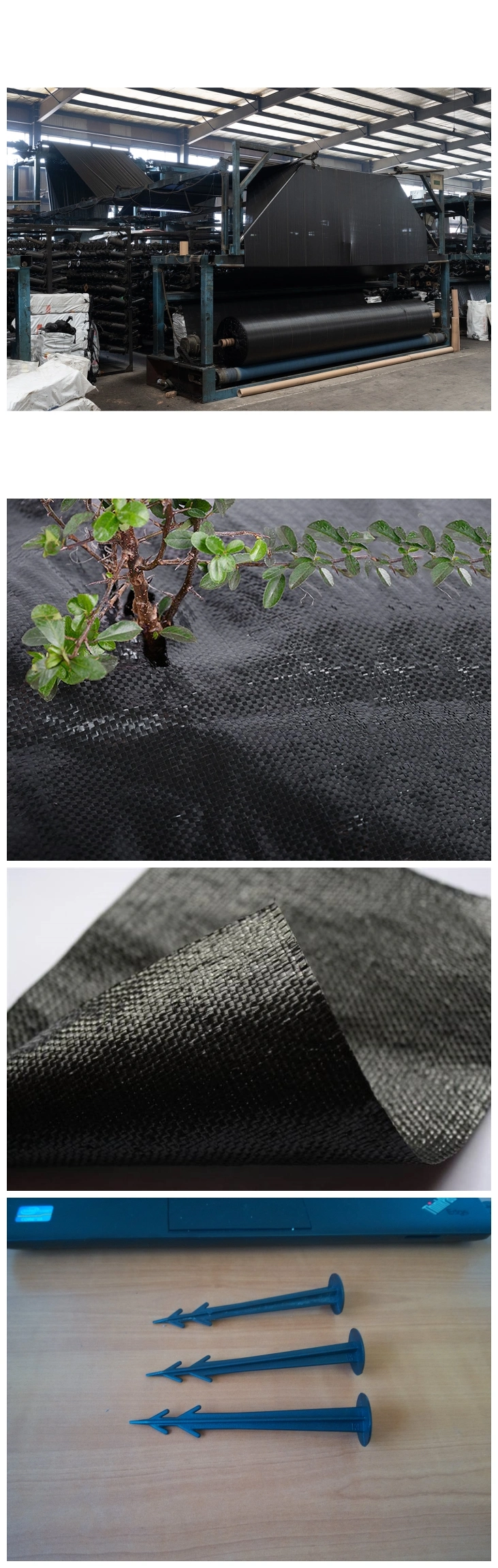 PP Plastic Raw Material Weed Mat White/ PP Woven Weed Control Fabric